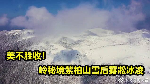 商场购物狂欢