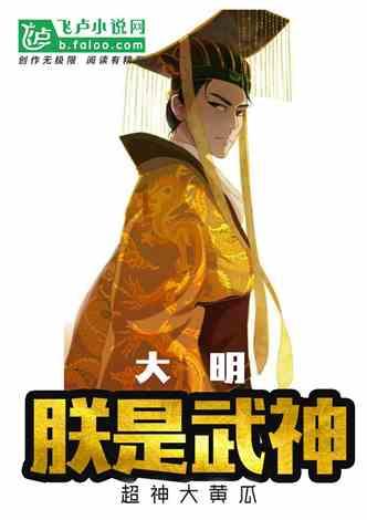 天平街道开展“喜迎新年挂灯笼、情暖乡村送祝福”志愿服务活动